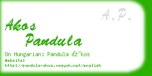 akos pandula business card